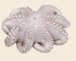 Pulpo Crudo